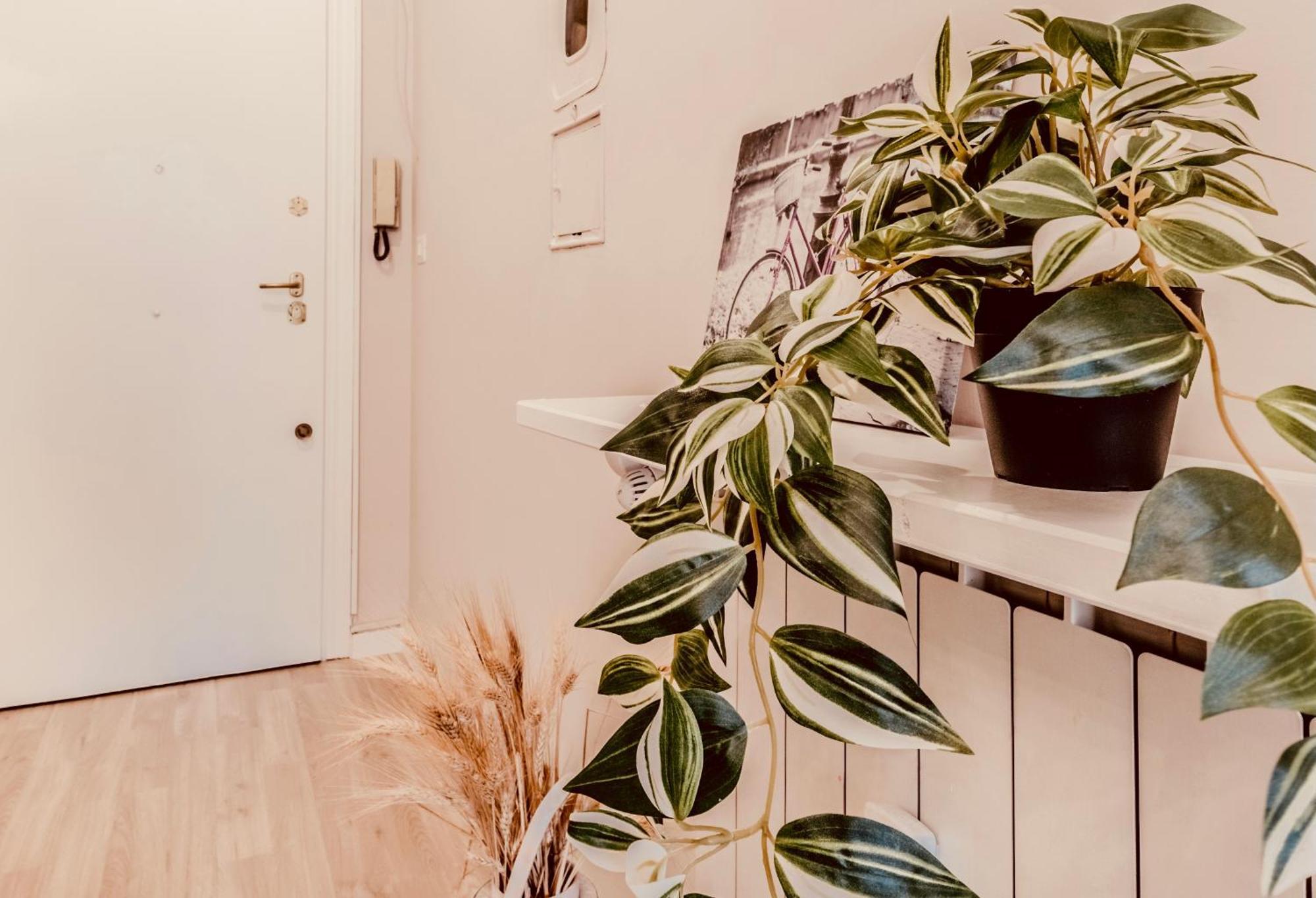 Domus Eleonora Apartment Roma Ngoại thất bức ảnh